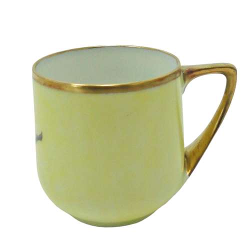 Rosenthal Outside Decorated Coffee Cup & Saucer