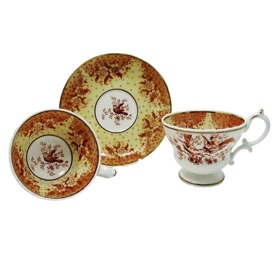 Ridgway Porcelain Trio